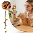thumbnail image 1 of Interactive Fruit Shaped Cat Teaser Toy with Squeaky String and Teeth Cleaning for Indoor Outdoor Play, 1 of 7