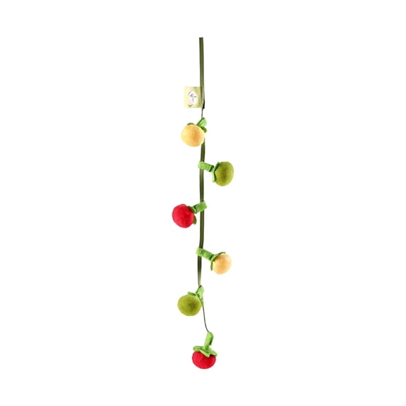 Interactive Fruit Shaped Cat Teaser Toy with Squeaky String and Chewable for Indoor Outdoor Play