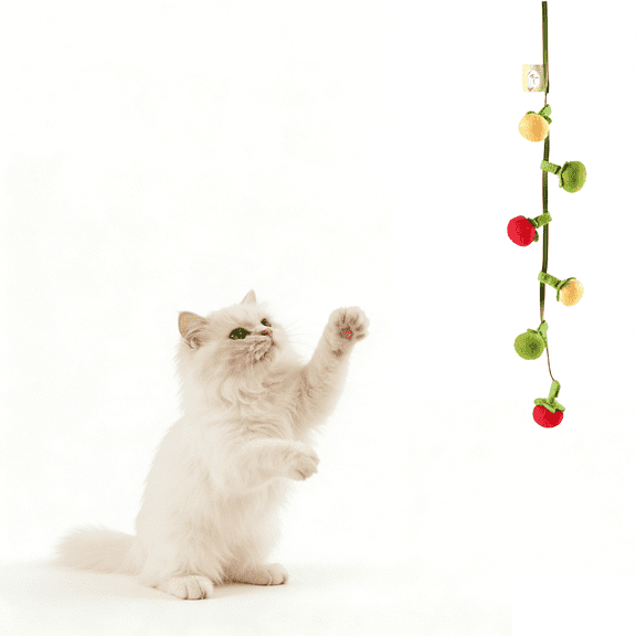 Interactive Fruit-Shaped Catnip Toy String, Cat Teaser Squeaky String with Catnip Bell, Small Persimmon and Tomato Teeth Cleaning Chew, Interactive Cat Toys (1pcs)