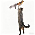 thumbnail image 1 of Interactive Hanging Bird Cat Teaser with Realistic Bird Sound & Feathers, Adjustable Retractable Rope, Boredom Relief Exercise Toy for Indoor Cats & Kittens, Brown, 1 of 7