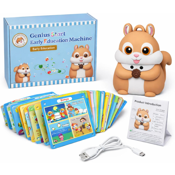 Interactive Learning Toy for Kids Talking Flash Cards with Recording Playback Phonics 1000+ Words Screen-Free Educational Tool for Toddlers Preschoolers Home Classroom Use,C