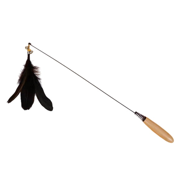 Interactive Long Wand Cat Toy with Replaceable Teaser Heads, Flexible Fishing Pole Style String Toy with Feathers for Exercise and Hunting Instinct Stimulation