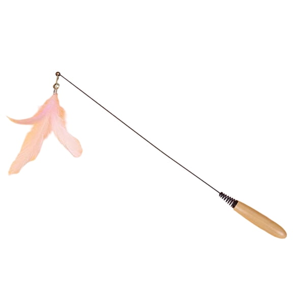 Interactive Long Wand Cat Toy with Replaceable Teaser Heads, Flexible Fishing Pole Style String Toy with Feathers for Exercise and Hunting Instinct Stimulation