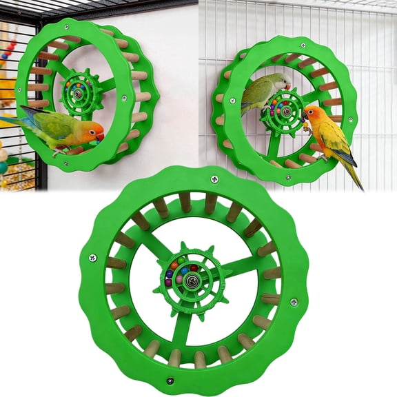 Interactive Parrot Exercise Wheel with Chewable Wooden Perch Bird Activity Cage Toy for Conures Budgies and Small Parrots