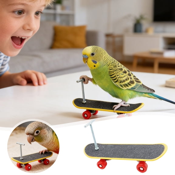 Interactive Parrot Training Skateboard for Intelligence Development and Exercise - Stimulating Bird Toy for Mental Engagement and Fitness