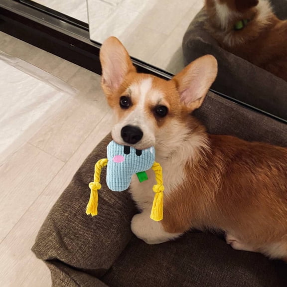 Interactive Pet Toy for Cats and Dogs Squeaky Chew Toy with Realistic Crying Sound to Promote Exercise and,11.5 cm,Blue