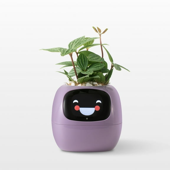 Interactive Plant Pot - Maintenance Plant Assistant, Smart Planter with Time & Temperature Display, Expressive Animations (Purple)