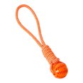 Interactive Reward Molars Dog Toy Discourage Destructive Behavior Pet ...