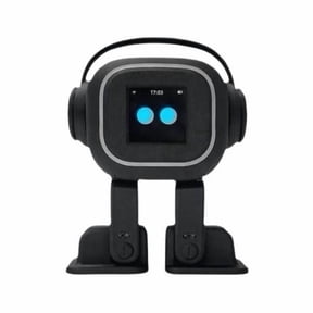 Interactive Robot Toy, Touch Sensing and Emotion, for Companion Play and Learning Setup and Daily Use, Black
