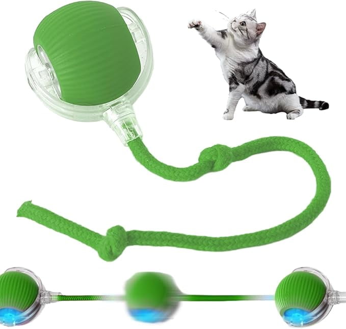 Cat Toy Dog Toys That Move On Their Own Interactive Dog Toys Dog