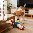 thumbnail image 1 of Interactive Rooster Tug Toy for Dogs – Squeaky Easter Pet Toy with Durable Cotton Rope, Fun Pulling Toy for Small to Medium Dogs and Cats, Holiday Gift Idea, 1 of 6