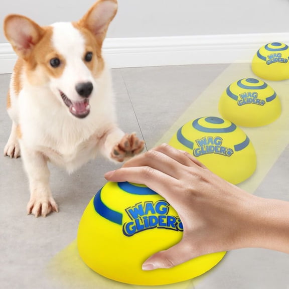 Interactive Sound Sliding Dog Toy for Tug War Catching Playing Grabbing Super Strong Pet Color A 16.8 cm