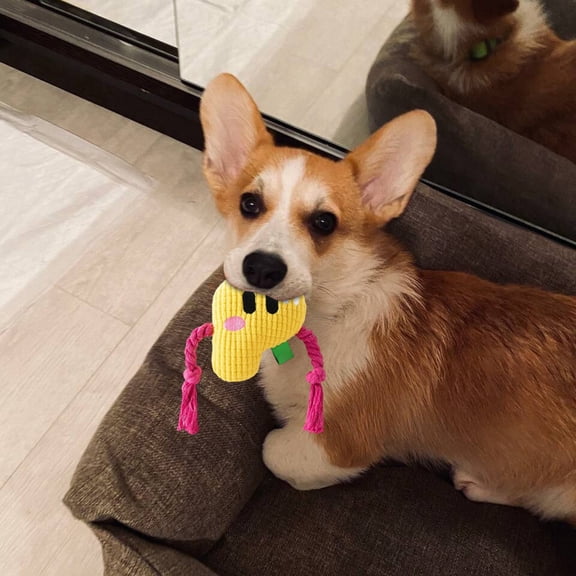 Interactive Squeaky Dog Cat Toy Chewable Realistic Crying Sound Encourage Exercise Indoor Outdoor Play