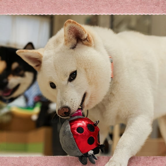 Interactive Squeaky Dog Toy Purple Elastic Spike Ball Pet Chew Toy Teeth Grinding Bouncy for Small Medium Dogs Red