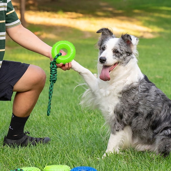 Interactive Squeaky Spiky Ring Dog Toy for Chewers – Teething Ring with Rope Training and Boredom Buster for Small to Large Dogs