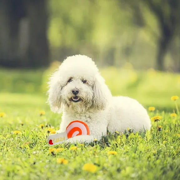 Interactive Squeaky Toy for Dogs and Playful Cats with Adorable Animal Design