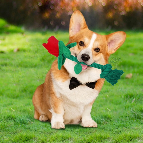Interactive Stuffed Rose Chew Toy for Small Dogs Squeaky Reduces Boredom Anxiety Pet Rope Indoor Outdoor, 35x10 cm, Red