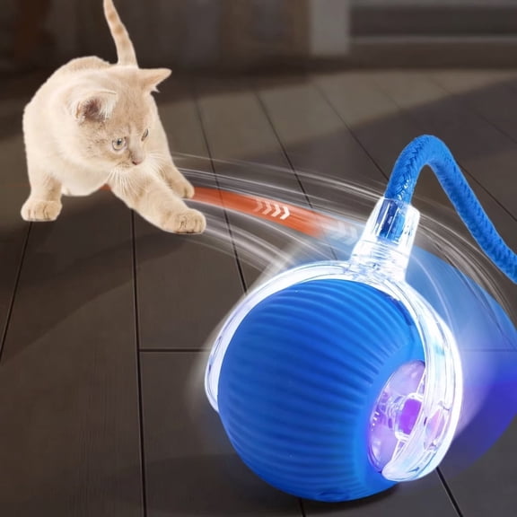 Interactive Teaser & Chase Toy with USB Plug-in Cable, Blue