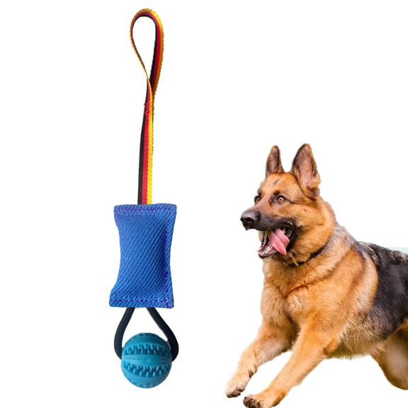 Interactive Training Ball with Rope Dog Toy,Fling Dura Foam Toy,Dog Water Float Ball Rraining Boall on Rope (1 Pieces 5cm/1.9")