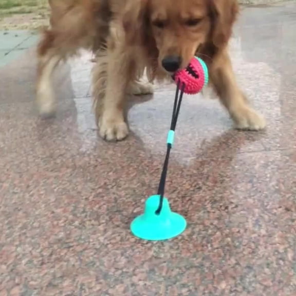 Interactive dog toy set toy , Slow Feeder Puzzle,Effectively clean teeth and reduce dental plaque and calculus. Help pets improve their intelligence and help train dogs. 1 Pcs