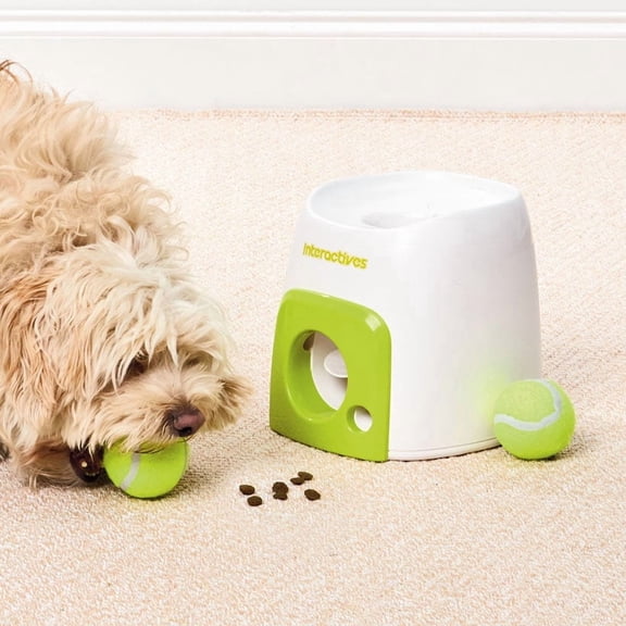 Interactives Fetch N Treat Dog Ball Reward Toy