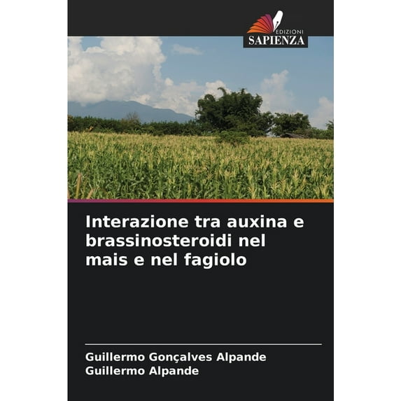 Interazione tra auxina e brassinosteroidi nel mais e nel fagiolo, (Paperback)