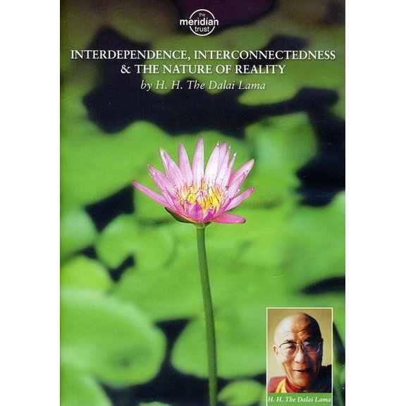 Interdependence, Interconnectedness and the Nature of Reality