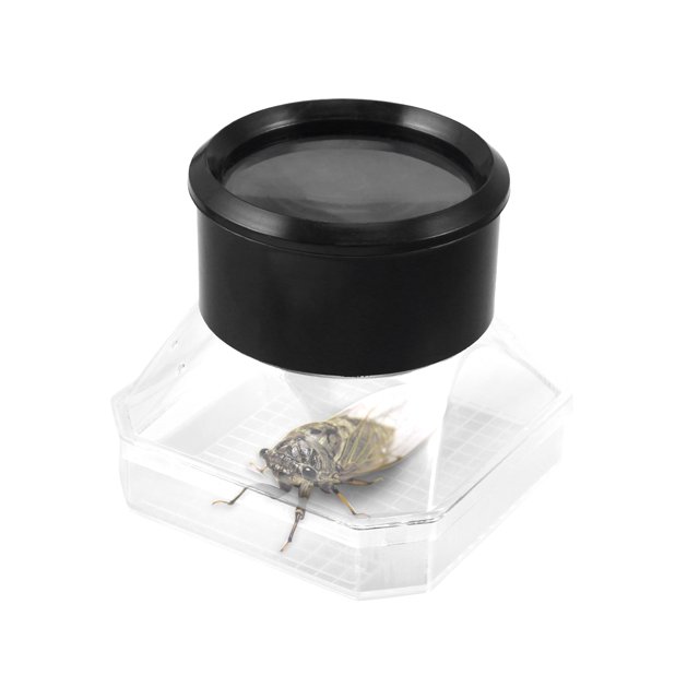 Interestcatching Toy Horizonbroadening Insect Magnifier Kids Playset