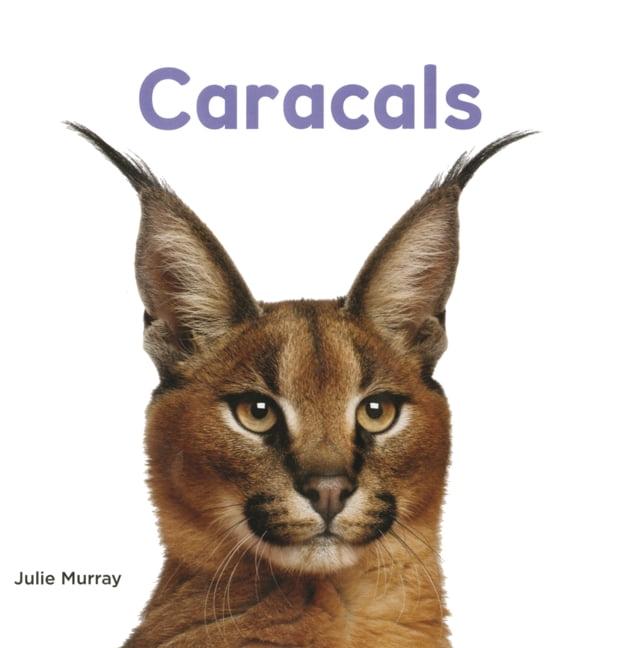Interesting Animals Caracals, (Hardcover)