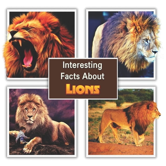 A Colorful Picture Book for Kids Interesting Facts About Lions: Children's Picture Book for Lions / Facts About Lions for Kids, (Paperback)