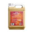 thumbnail image 1 of Interior Cleaner  Conditioner, 1 of 2