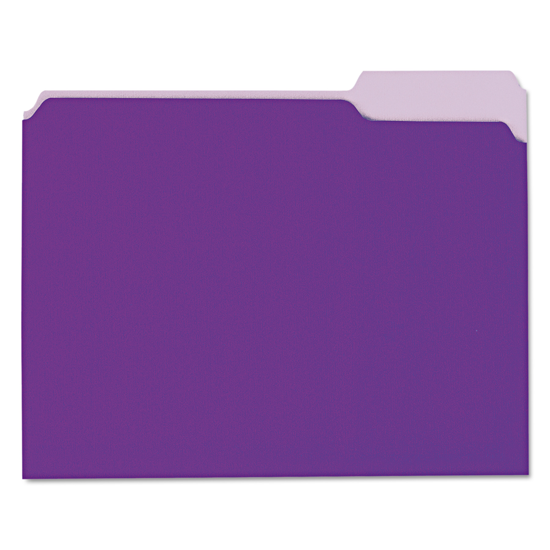 Interior File Folders, 1/3-Cut Tabs, Letter Size, Violet, 100/box ...