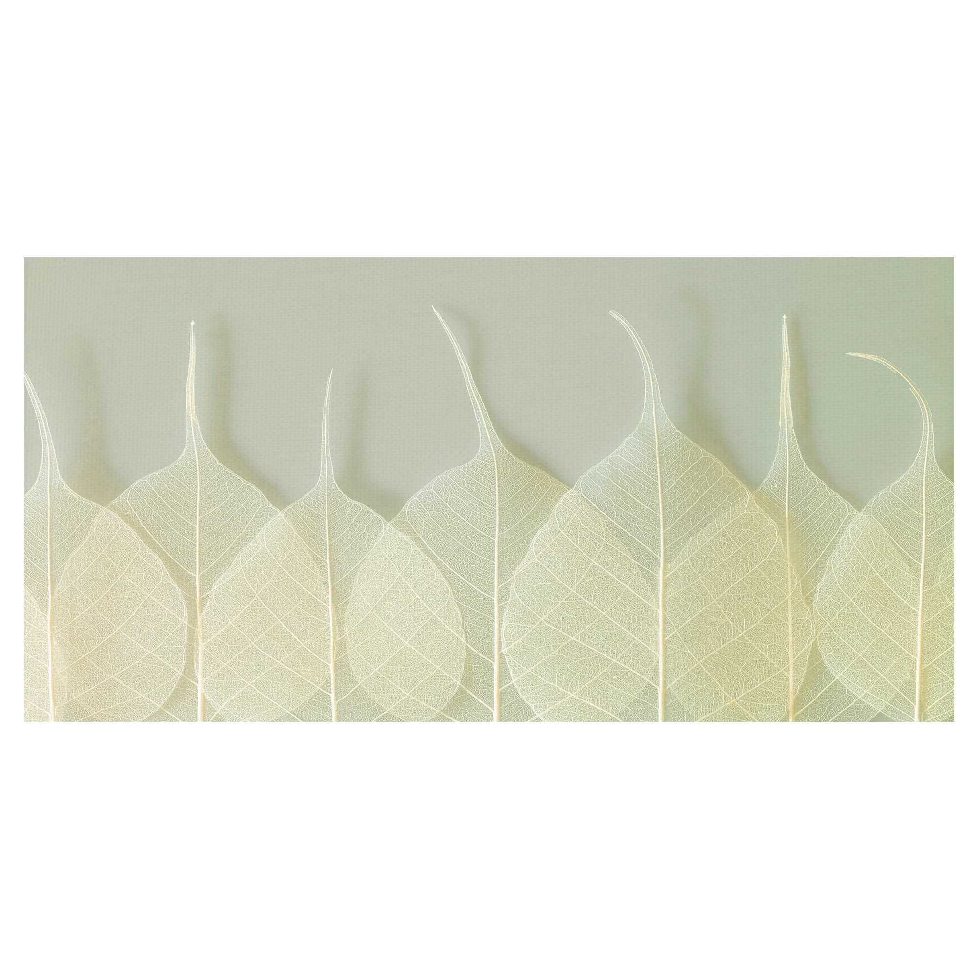 Interlace by Assaf Frank Layered Leaves Canvas Art