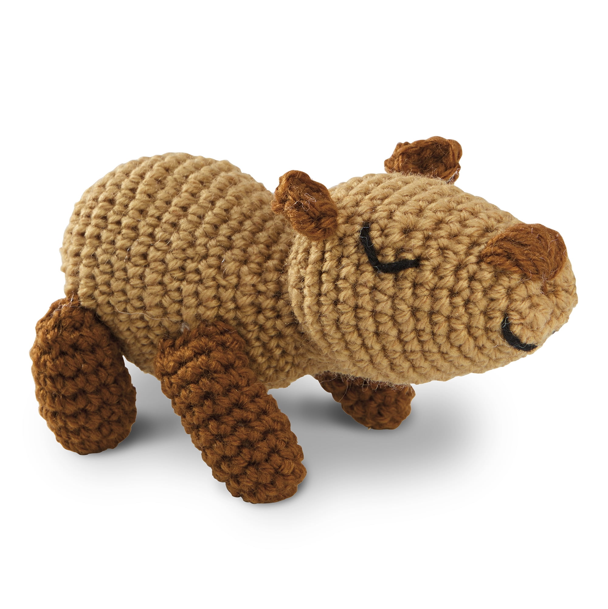 Intermediate Capybara Amigurumi Crochet Kit by Loops & Threads – DIY Stuffed Animal Craft Set with Yarn - Fiberfill - Hook & Instructions - Intermediate Skill Level - Makes 5.1" Plush - 6 Pack