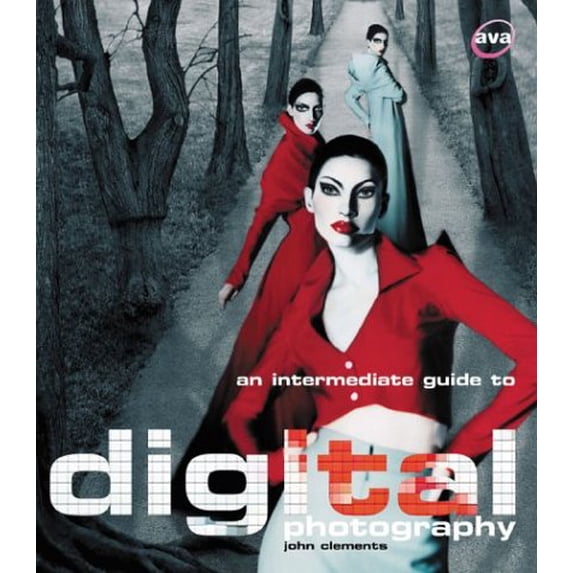Pre-Owned An Intermediate Guide to Digital Photography 9782884790253 Used