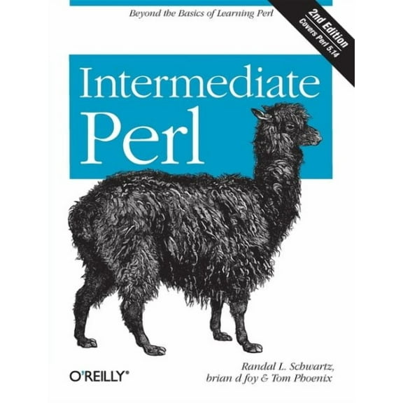 Intermediate Perl: Beyond the Basics of Learning Perl (Paperback)