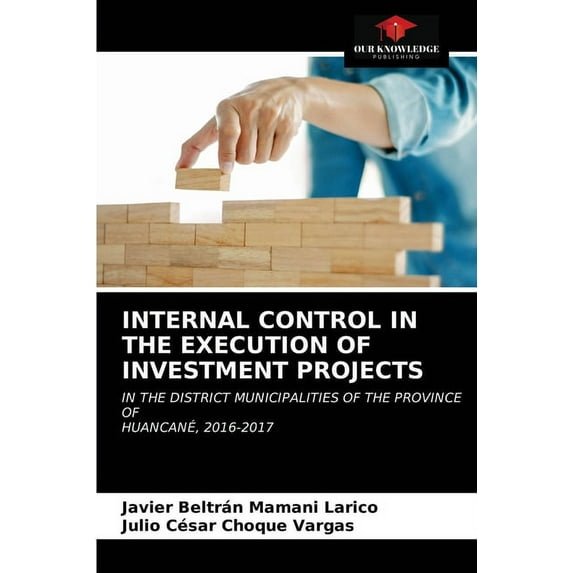 Internal Control in the Execution of Investment Projects (Paperback)
