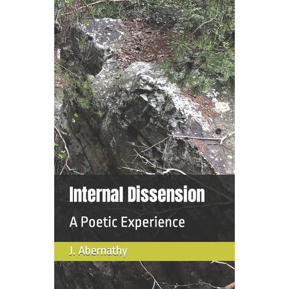Internal Dissension: A Poetic Experience (Paperback)