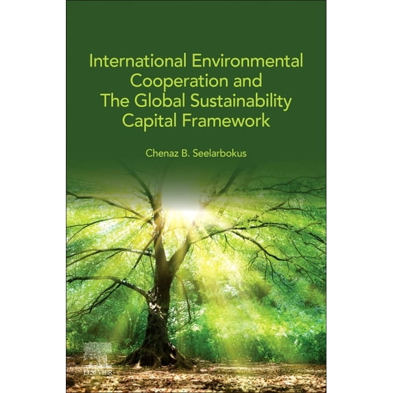 International Environmental Cooperation and The Global Sustainability Capital Framework, (Paperback)