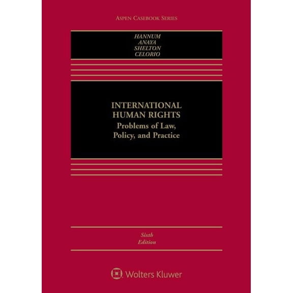 International Human Rights : Problems of Law, Policy, and Practice