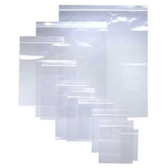 International Plastics CZA4 Assorted Size ClearZip Lock Bags, 0.004 Gauge - Case of 1000