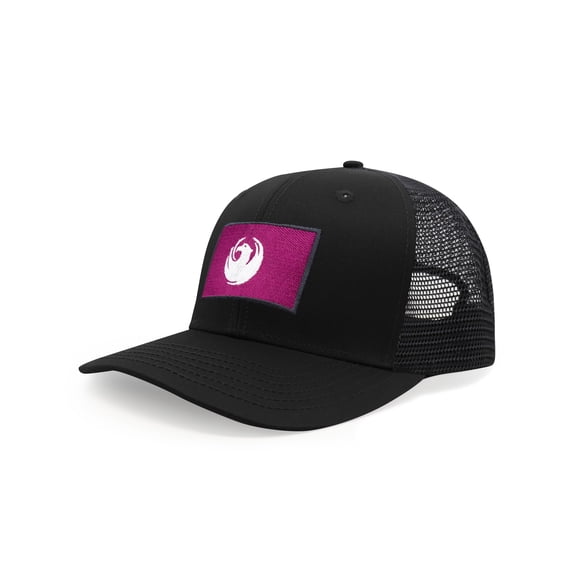 International Tie City Hat for Men and Women, Adjustable Snapback Trucker Baseball Cap with Embroidered Patch (Phoenix, All Black)