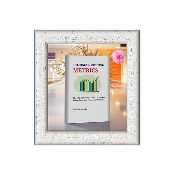Internet Marketing Metrics : Successful eCommerce Metrics (Paperback)