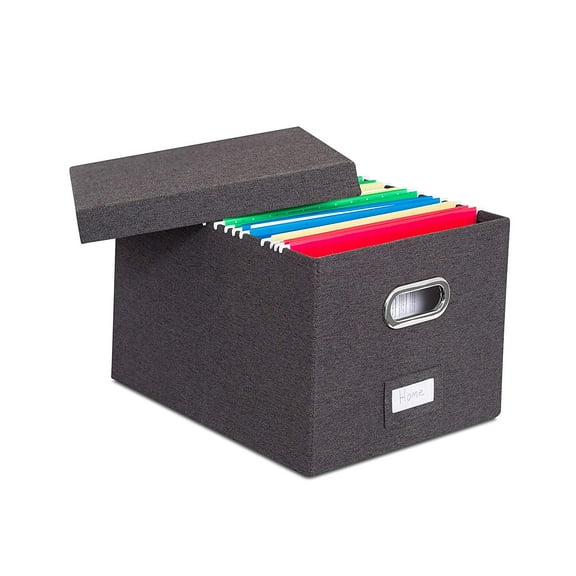 Internet's Best Collapsible File Box Canvas Letter-Size File & Paper Sorter & Organizer, Charcoal