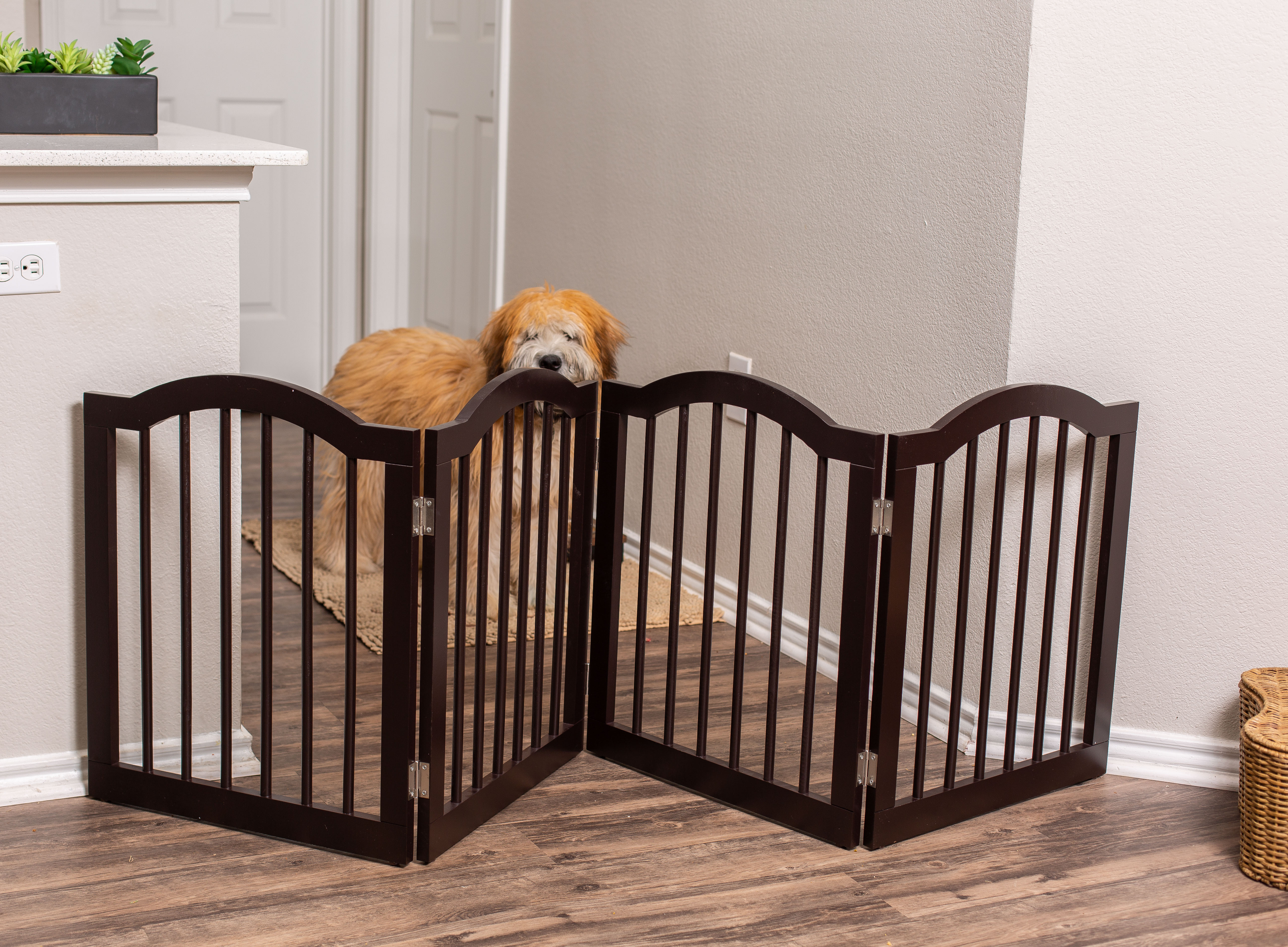 Best BirdRock Traditional Pet Gate