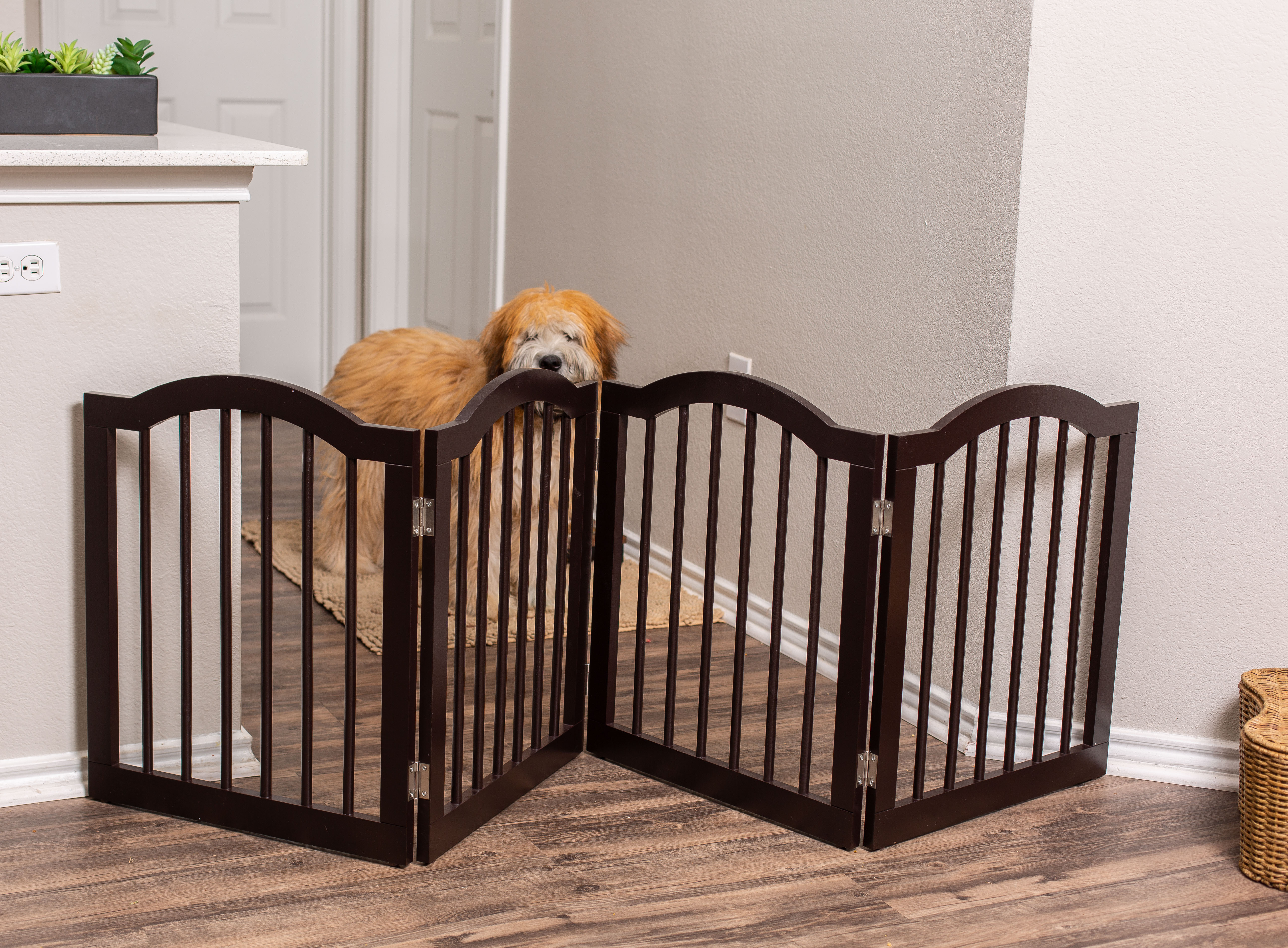 Internet's Best Dog Gate With Arched Top, 4 Panel 24 Inch - image 1 of 5