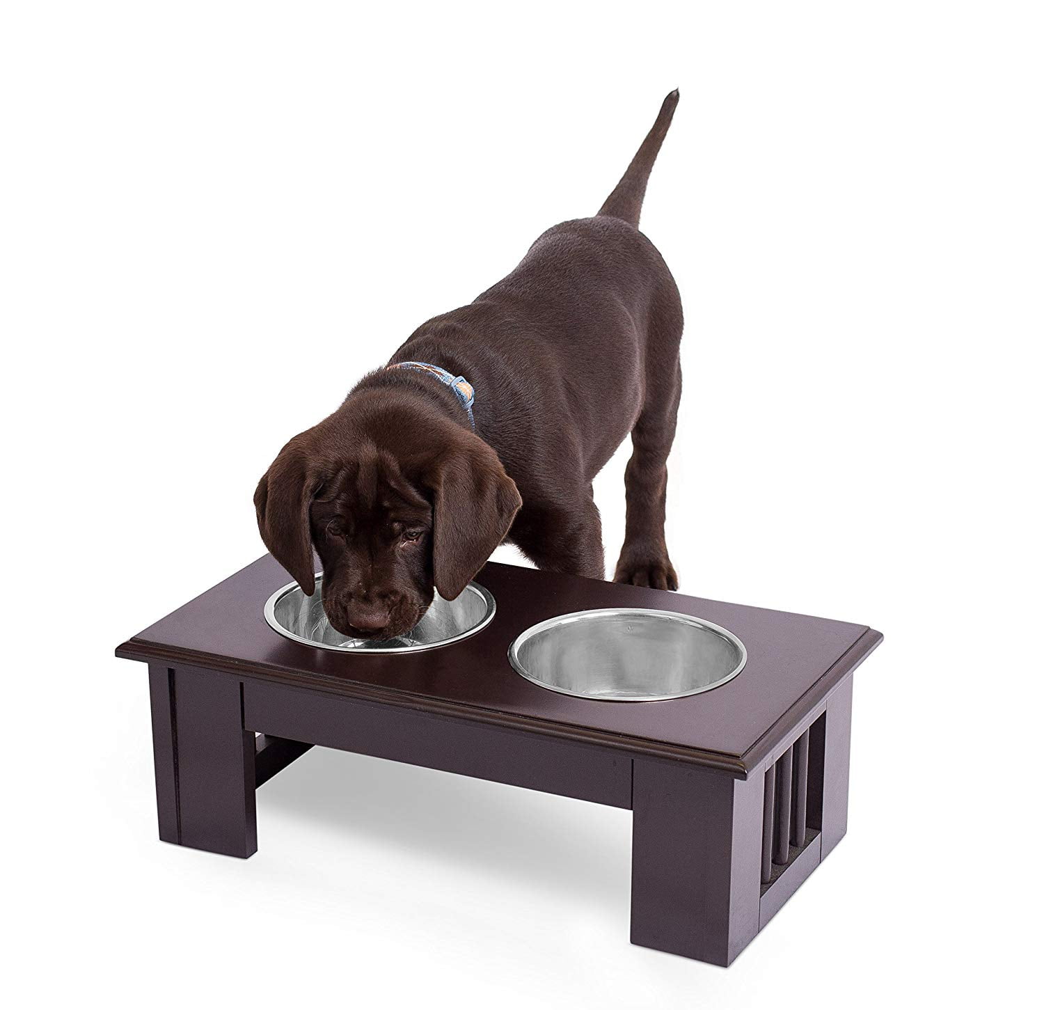 https://i5.walmartimages.com/seo/Internet-s-Best-Traditional-Elevated-Pet-Feeder-2-Small-Dog-Food-Bowls_4890e960-7849-46c6-be3d-63c6dffcd60b_1.e262f29c85aa877554c59ca3ea5811cd.jpeg