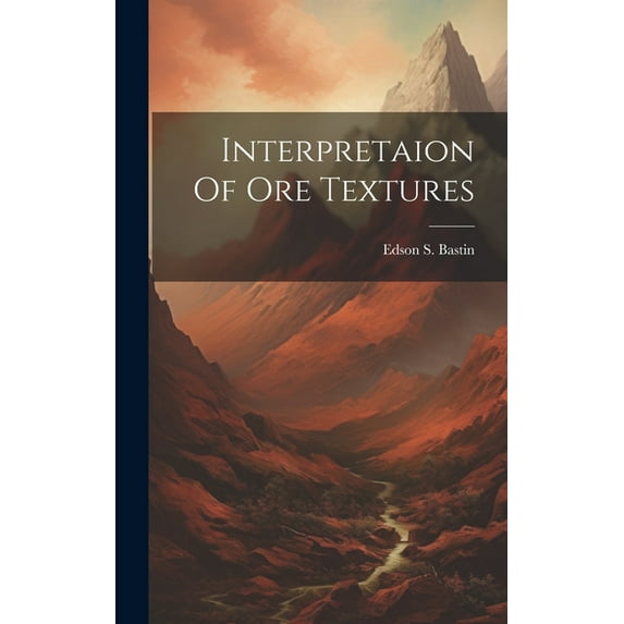 Interpretaion Of Ore Textures (Hardcover)