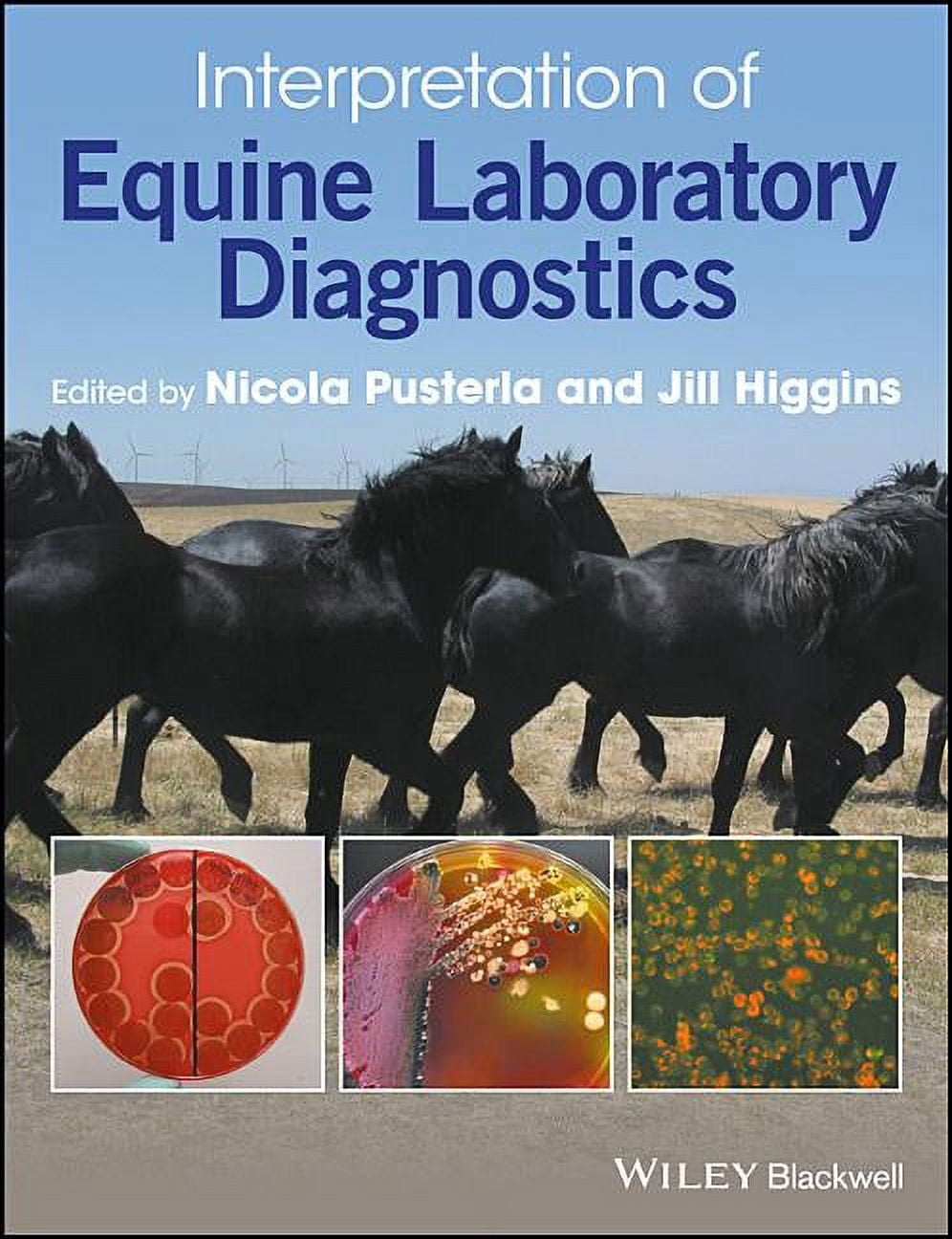 Interpretation of Equine Laboratory Diagnostics (Hardcover) - Walmart.com