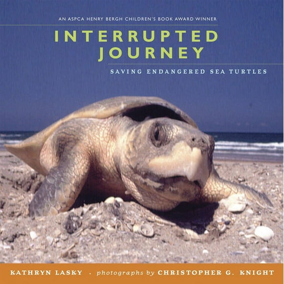 Interrupted Journey : Saving Endangered Sea Turtles (Paperback)